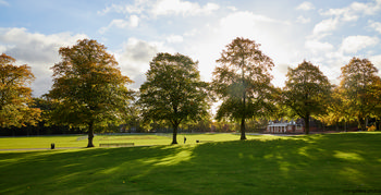 Queens Park trees This landscape photograph captures the trees in Queen's Park in the United Kingdom during an autumn morning. The sunlight casts long shadows across the green lawn, highlighting the natural beauty of the park. The trees, which are the main subject of the image, display early signs of autumn foliage. A few paths are visible winding through the grass, and in the background, there is a red brick pavilion building, which serves as a landmark within Queen's Park. The overall scene reflects the tranquillity and nature commonly found in British parks.